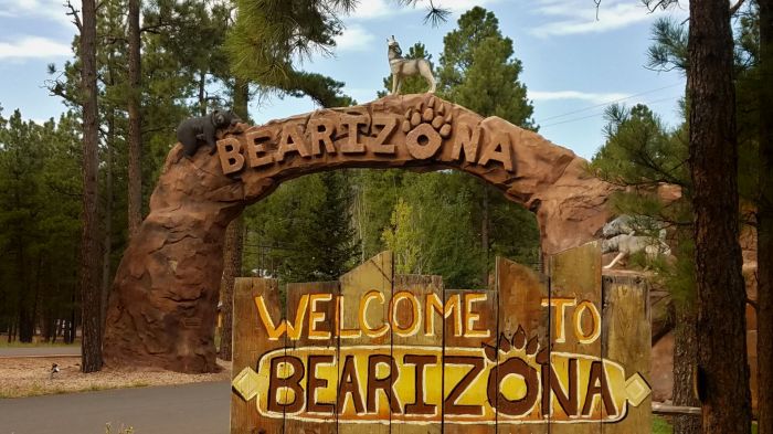 Bearizona awesome check place kissack adventures